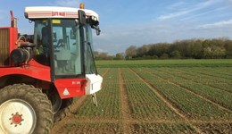 Testing smarter nitrogen approaches at Strategic Cereal Farms